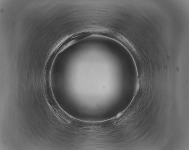 X0000083610436200702201254