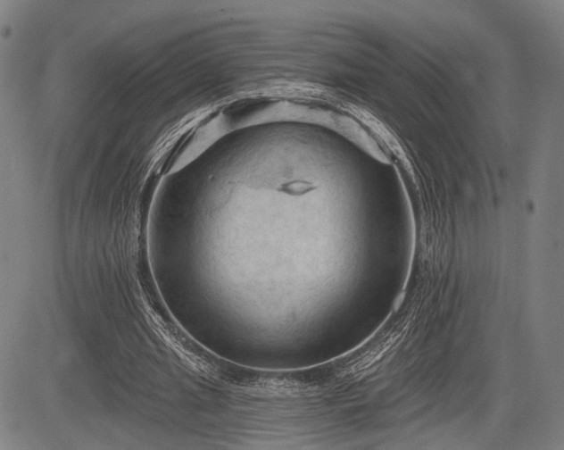 X0000083610437200702201254