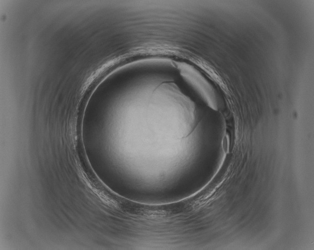 X0000083610438200702201254