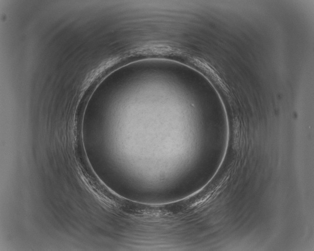 X0000083610439200702201254