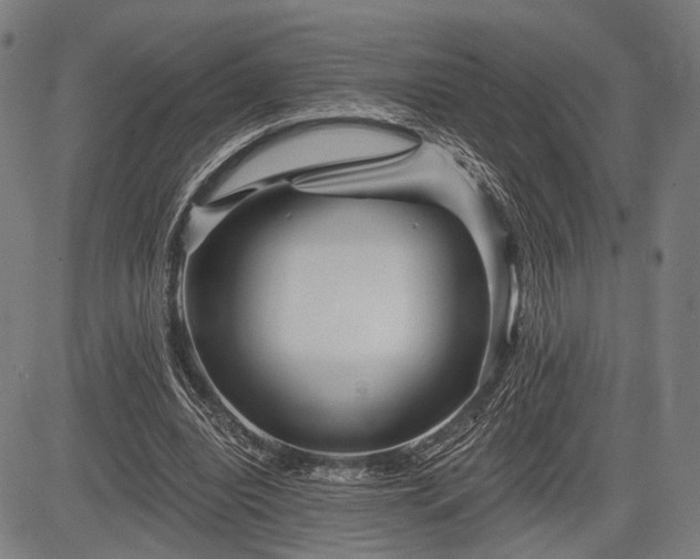 X0000083610440200702201254