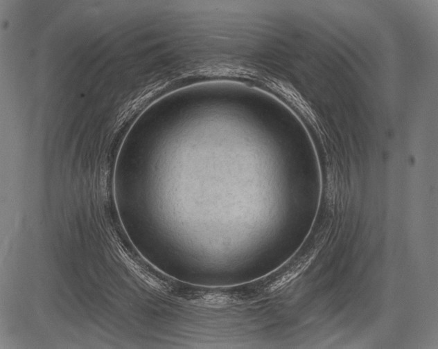 X0000083610441200702201254