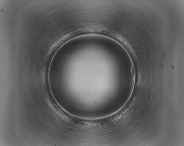 X0000083610442200702201254