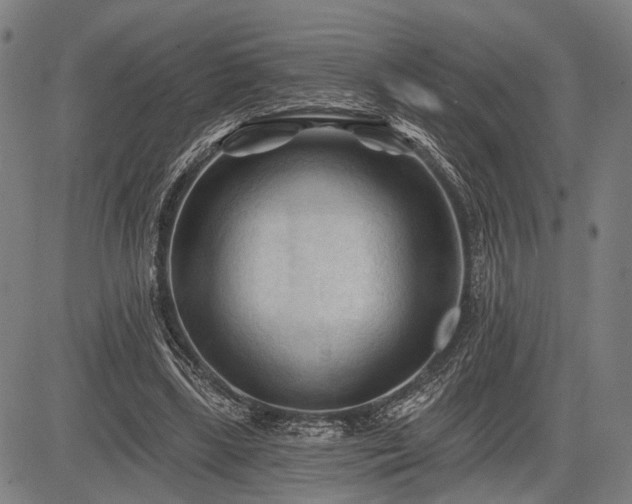 X0000083610443200702201254