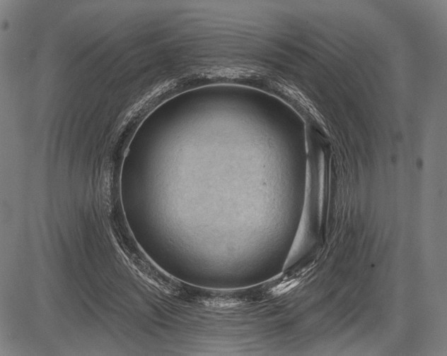 X0000083610444200702201254