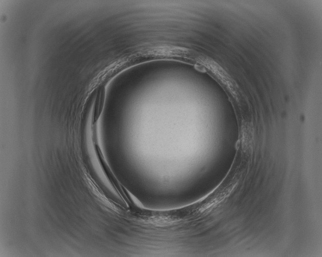 X0000083610445200702201254