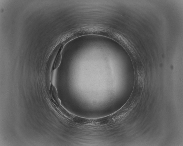 X0000083610447200702201254