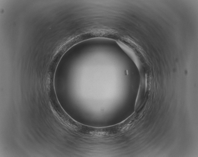 X0000083610448200702201254