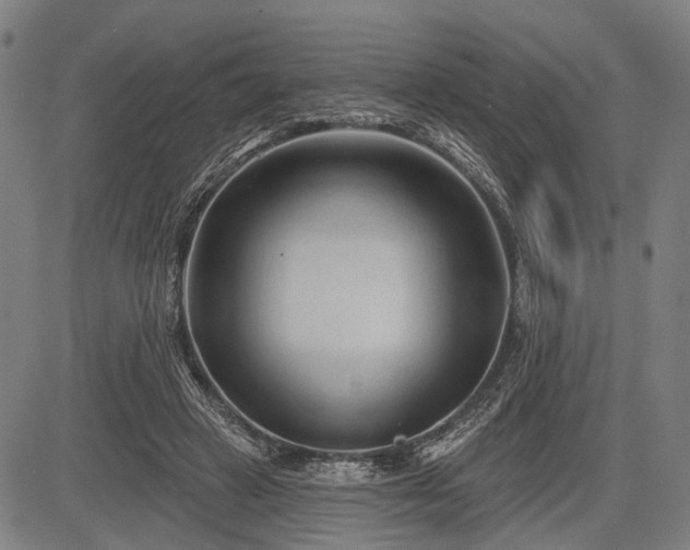 X0000083610449200702201254