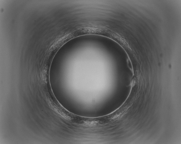 X0000083610450200702201254