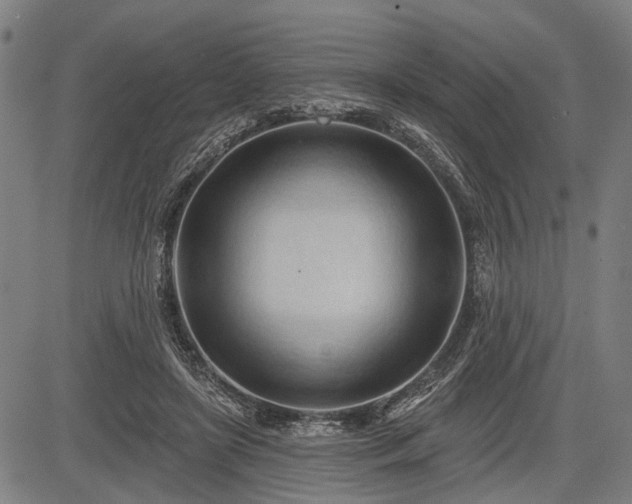 X0000083610451200702201254