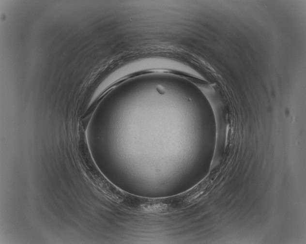 X0000083610452200702201254