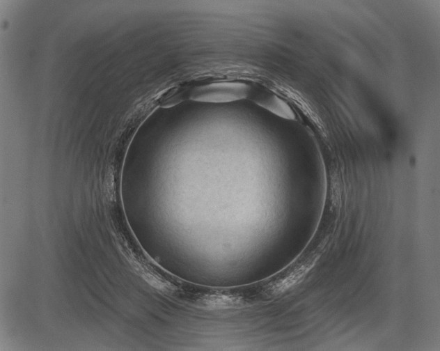 X0000083610453200702201254