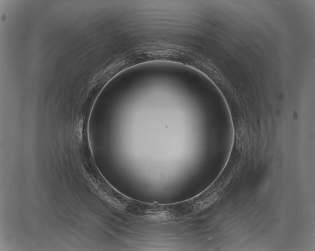 X0000083610454200702201254