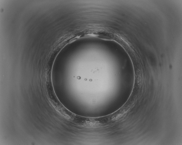 X0000083610455200702201254