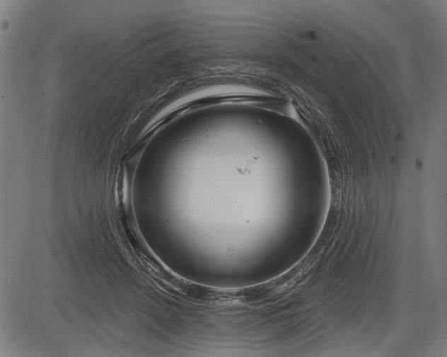 X0000083610456200702201254