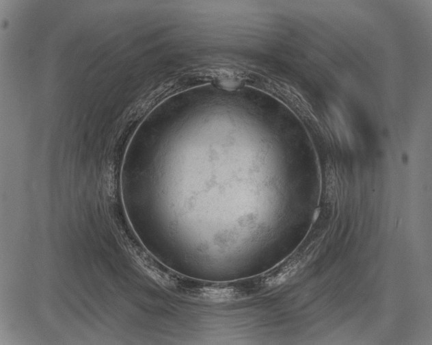 X0000083610457200702201254