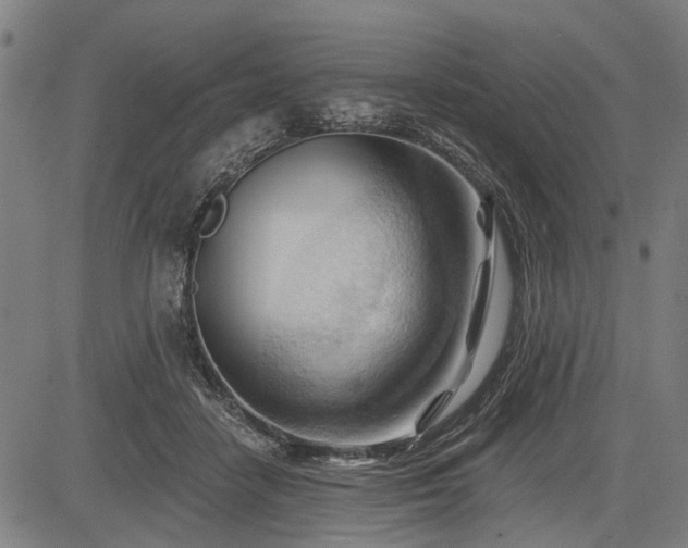 X0000083610458200702201254