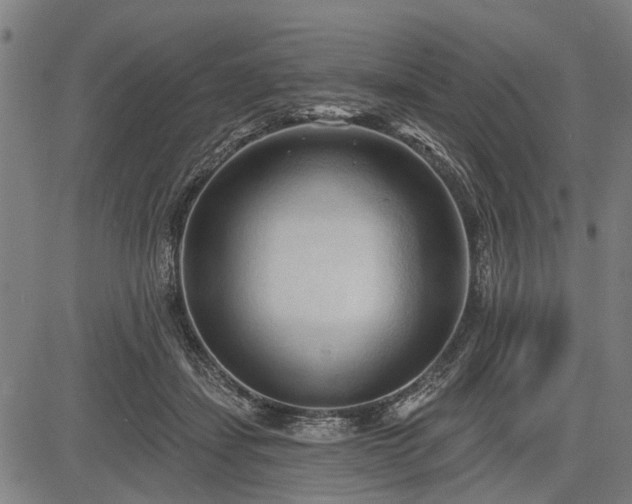 X0000083610459200702201254