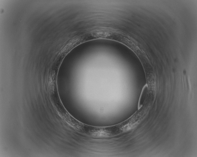 X0000083610460200702201254