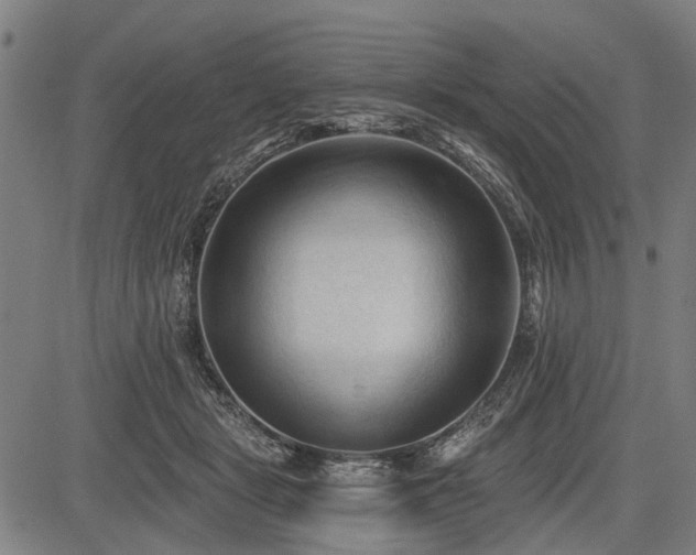 X0000083610461200702201254