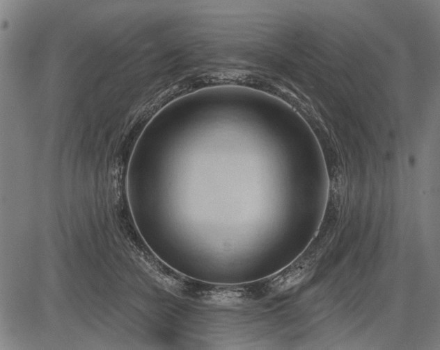 X0000083610462200702201254