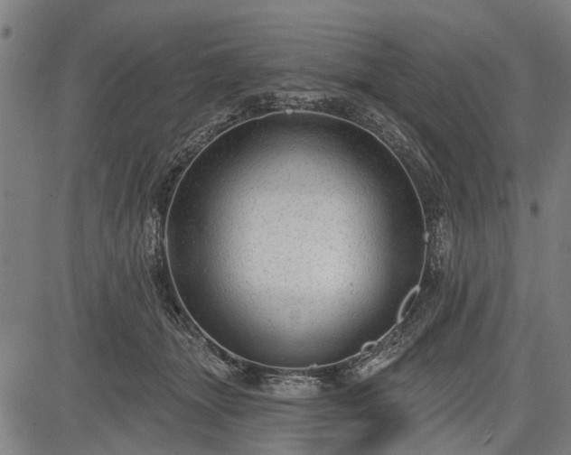 X0000083610463200702201254