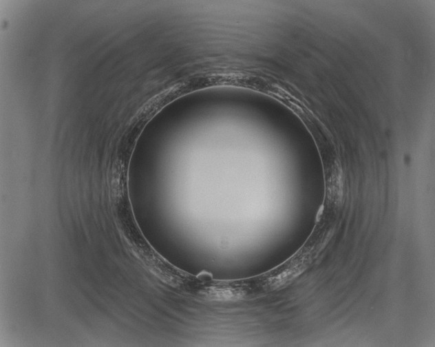 X0000083610464200702201254