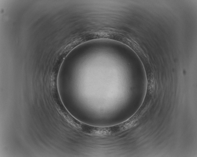 X0000083610466200702201254