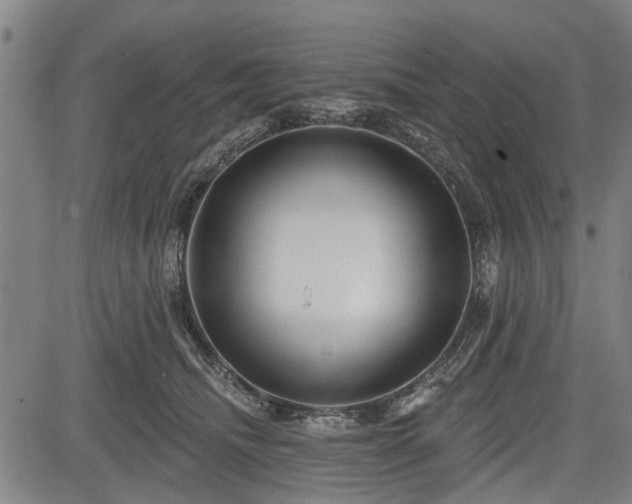 X0000083610468200702201254