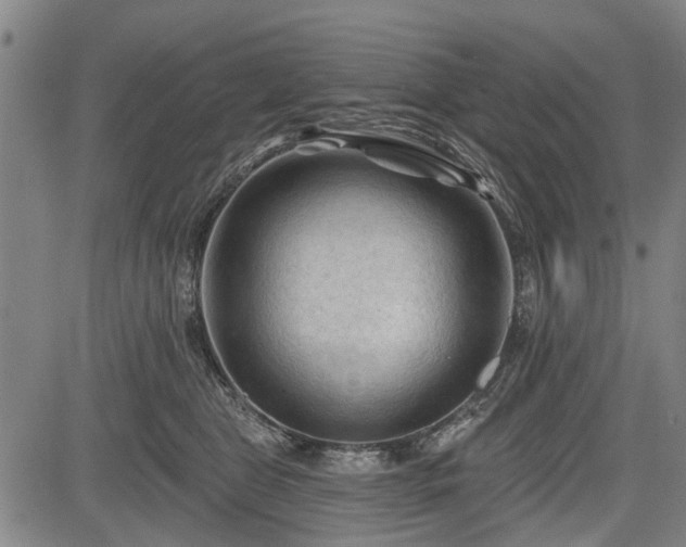 X0000083610469200702201254