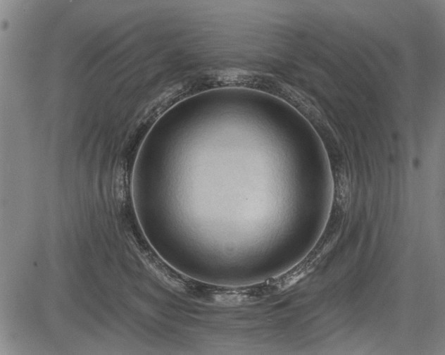 X0000083610470200702201254