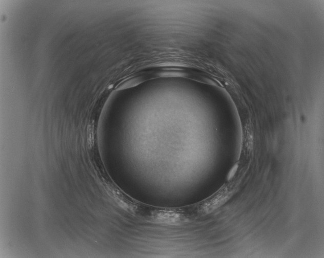 X0000083610471200702201254