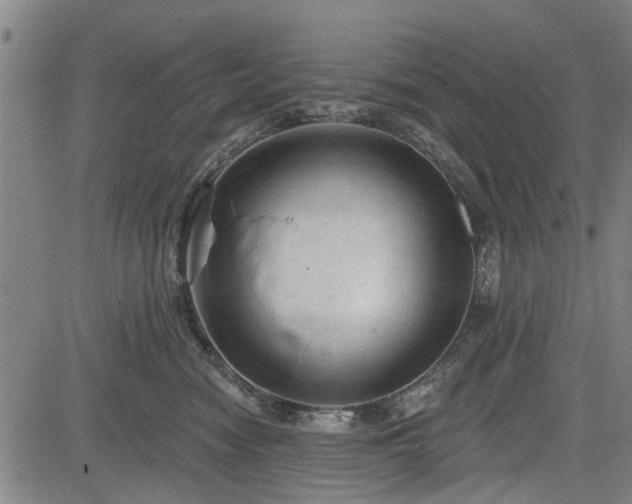 X0000083610474200702201254