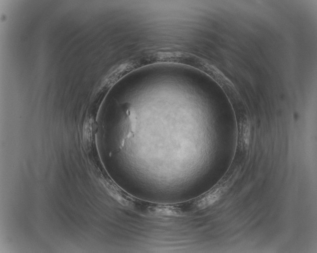 X0000083610475200702201254