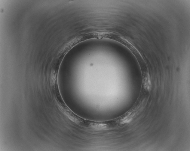 X0000083610476200702201254