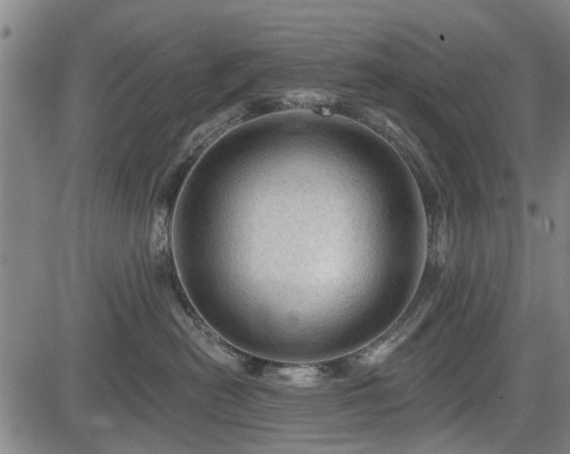 X0000083610478200702201255