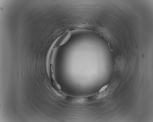 X0000083610479200702201255