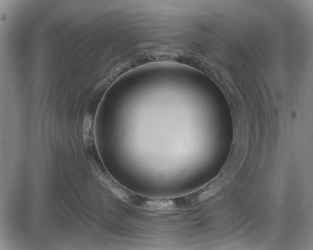 X0000083610480200702201255