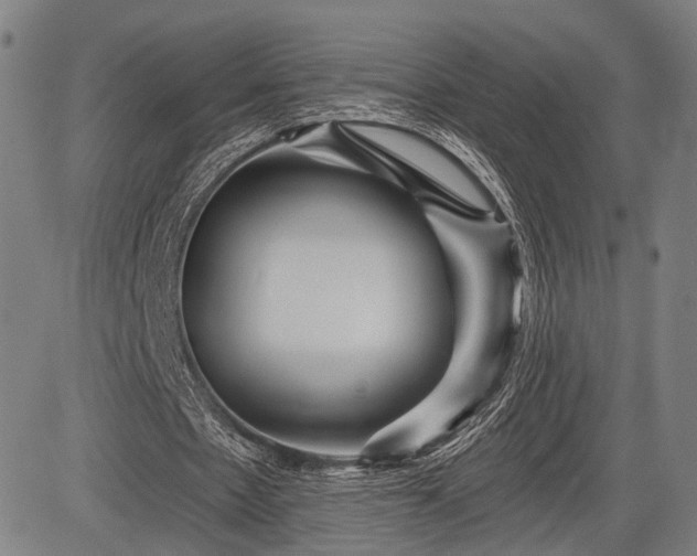 X0000083610481200702201254