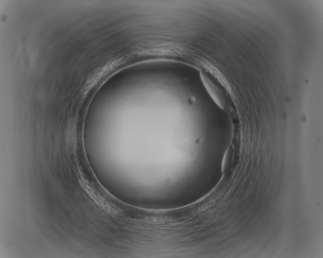 X0000083610482200702201254