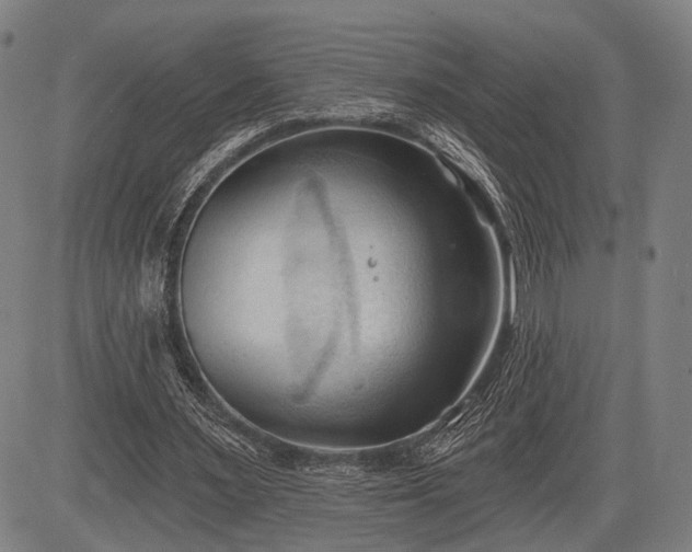 X0000083610483200702201254