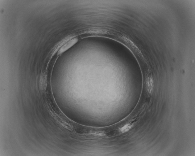 X0000083610484200702201254