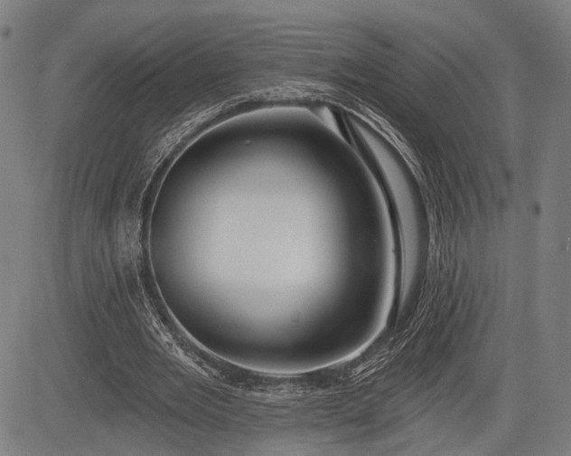 X0000083610485200702201254