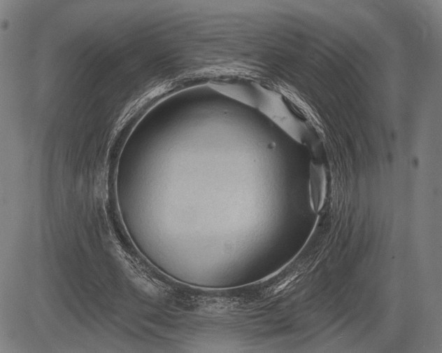 X0000083610486200702201254