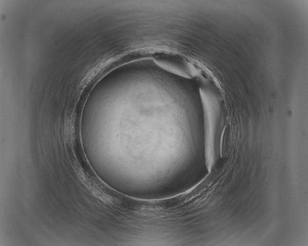 X0000083610487200702201254