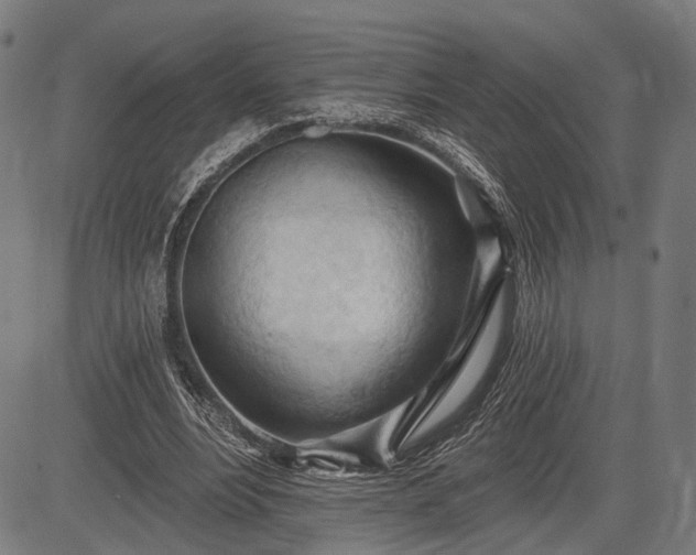 X0000083610488200702201254