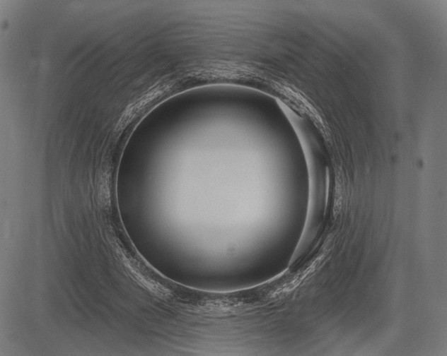 X0000083610489200702201254