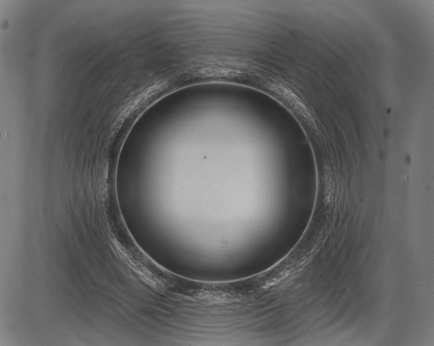 X0000083610490200702201254