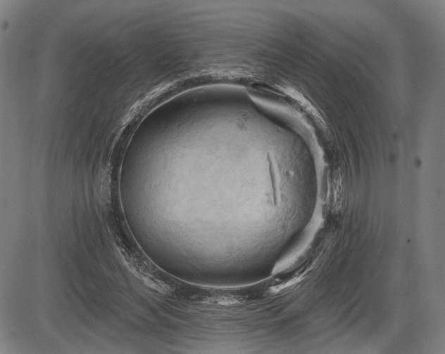 X0000083610492200702201254